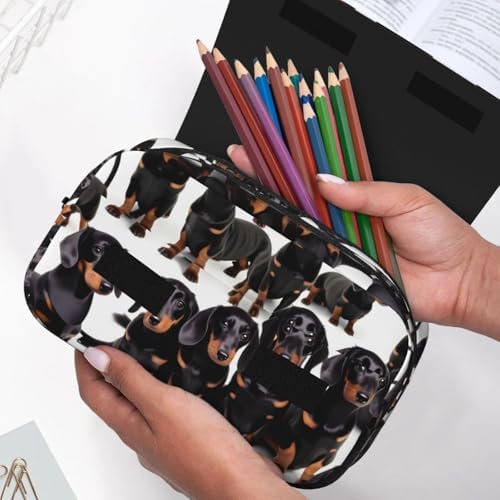 Dachshund Weiner Pet Dog print Pencil Case Box Organizer,Large Capacity Portable Big Pencil Bags with Zipper for Office Home