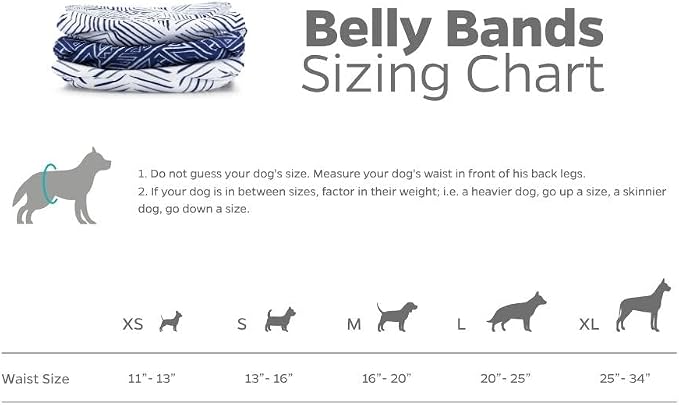 Pet Parents® Washable Belly Bands for Male Dogs (3pack) + Extendrs® of Durable Dog Diapers Male, Premium Male Dog Diapers & Dog Wraps (Large, Kahuna)
