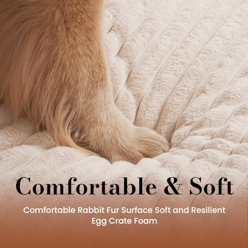 Extra Large Dog Bed Orthopedic Foam with Waterproof Lining | Egg crate foam for joint support. Soft plush surface. Non-slip bottom. Removable & machine washable cover. OEKO-TEX certified