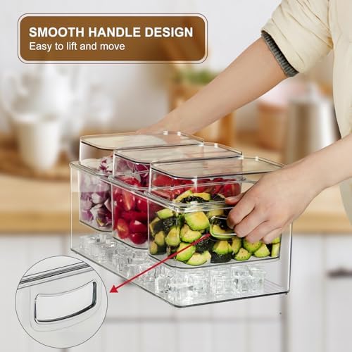Hudgan Large Taco Bar Serving Set for Party with 3 Separate Containers, Mimosa Bar Accessories with Lids, Chilled Condiment Caddy Organizer for Salad, Fruit, Party Garnish (Pack of 2)