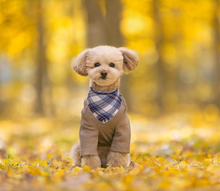Fall Dog Bandana Autumn Thanksgiving Plaid Reversible Triangle Bibs Scarf