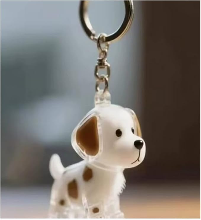 EPMANN Dog Hair Collector Keychain Charm Memorial Storage Box, Transparent Bottle for Pet Hairs Keychain, Pets Fur Keepsake Keyring for Collecting Hair, Portable Pet Memory Capsule(6)