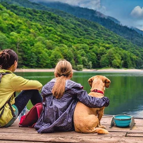 Loving Pets Bella Roma Collapsible Dog Bowls - Silicone Dog Bowls, Foldable Bowl, Puppy Essentials & Hiking Pet Supplies Great for Home & Travel (Blue, Medium)