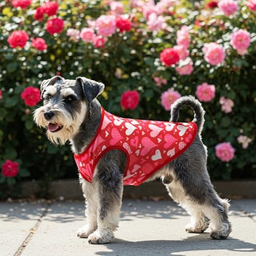 3-Pack Valentine's Day Dog Shirt Love Heart Dog Shirts Valentines Day Dog Sleeveless Clothes Outfit Pet Valentines Tank Tops Vests with Heart Cupid's Arrow Patterns for Small Medium Dogs M