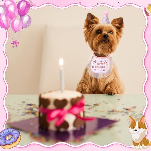 Chicingyou Dog Birthday Outfit Set Lace Bib Number Stickers,Cute,Pink