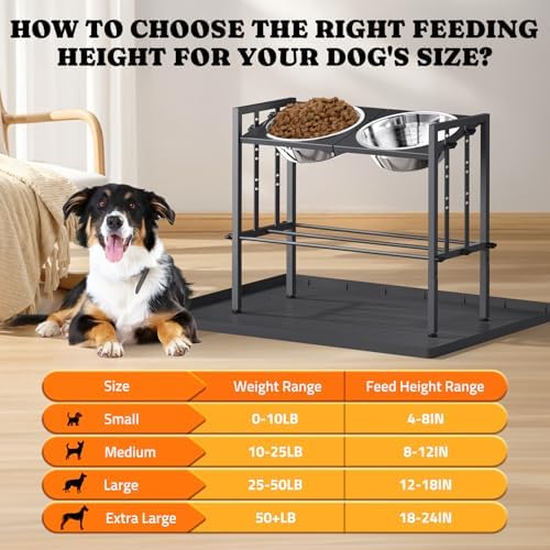 Pawtners Elevated Dog Bowl for Large Breed, Adjustable Feeder with Mat