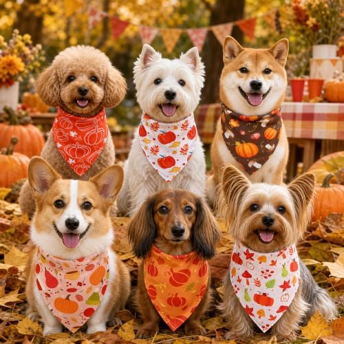 Abbylike 50 Pcs Fall Dog Bandanas Bulk Autumn Pumpkin Bandanas for Dogs Triangle Kerchief Bibs Scarf for Pets Thanksgiving Party Costume Photo Props Accessories, 25 Styles (19.7 x 13.8 x 13.8)