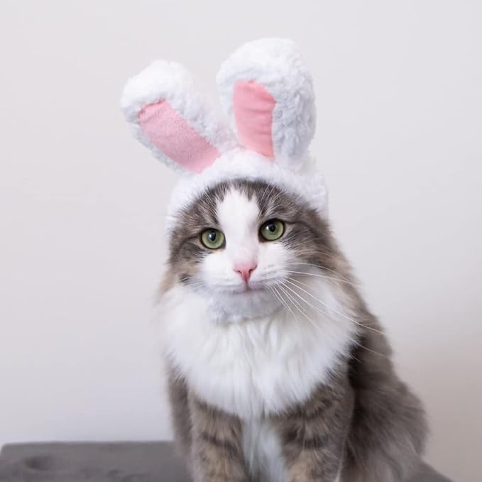 YUJUN Cat Easter Cute Costume Pet Bunny Rabbit Hat with Ears for Cats Small Dogs Puppy Easter Party Costume Accessory Headwear