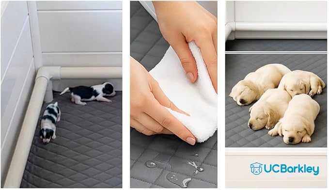 Whelping Box for Dogs and Puppies with Clear Window Panel – 36 Inch Modular, Easy-Clean, Safe Design with Pig Rail, Floor Liner & Washable Pad | Premium Small to Medium Breeds