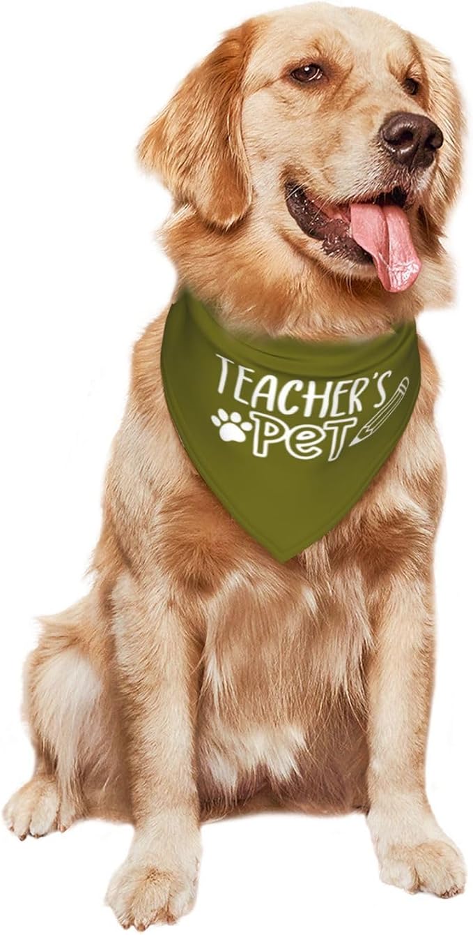 Teacher's Pet Dog Bandana,Funny Bandana Gift,Photo Prop Accessories for Dog Lovers Owner Gift,Triangle Reversible Fall Scarf, Adjustable (Green)