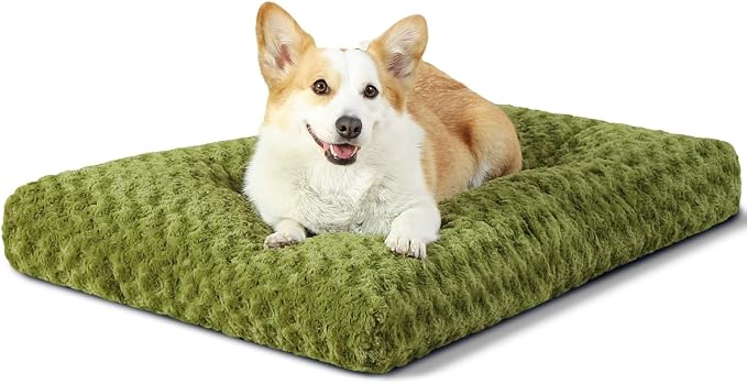 KSIIA Washable Dog Bed Small Dog Crate Bed Deluxe Plush Mat 23"x18" Green | Deluxe Plush Comfy Kennel Pad, Anti-Slip Bottom,Deep Sleeping Mat for Small Dogs,Machine Washable for Easy Cleaning