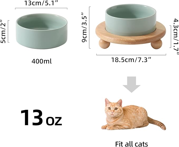 Havniva Ceramic Elevated Cat Food and Water Bowl, Kitty Bowl, Raised Cat Dish, Pet Feeder (5.1 in,1 x Light Green + Stand)