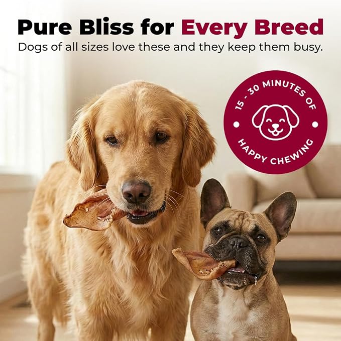 Best Pet Supplies GigaBite Half Cut Pig Ears for Dogs - 40 Count | Single Ingredient, All Natural, Supports Dental Health, Perfect for Training, Slow Roasted Chews