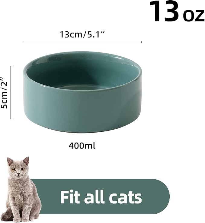 Havniva Ceramic Set of 2 Cat Bowls, Food and Water Bowls for Cats, Kitty, 2pcs Cat Dishes, Pet Feeder(5.1inch, 2 x Light Green Bowls)