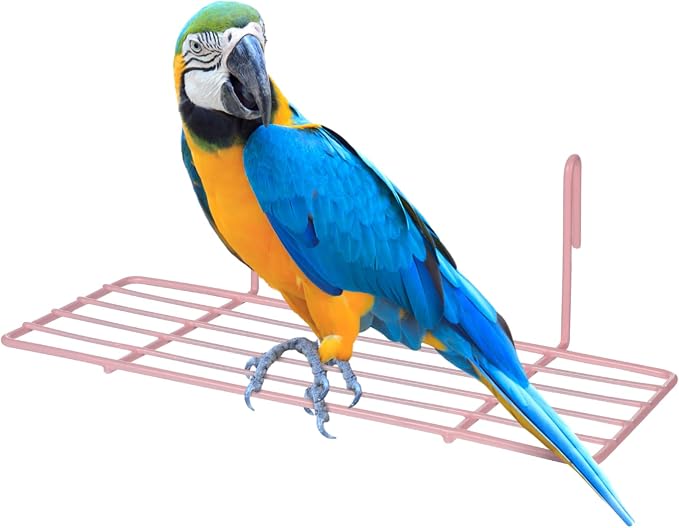 Healifty Pink Hanging Grid Iron Wall Shelf for Pet Parrots Bird Perch Stand with Hooks Sturdy Load Bearing Iron Frame for Climbing Playing and Displaying Small Items Easy to Install