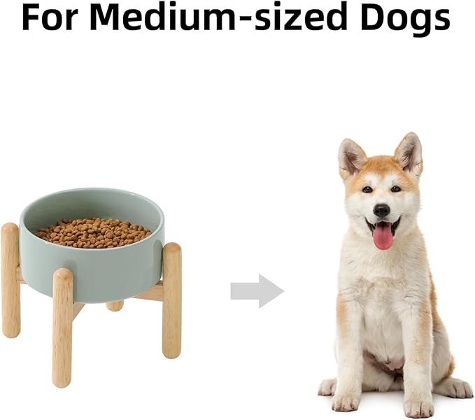 Havniva Ceramic Dog Bowls Elevated, Raised Dog Food Bowl for Small Dogs | 6.1” Elevated Dog Bowls, Non-Slip Wood Stand, Dog Food and Water Bowl Set, Dog Feeding Dish, Large Capacity Pet Water Bowl