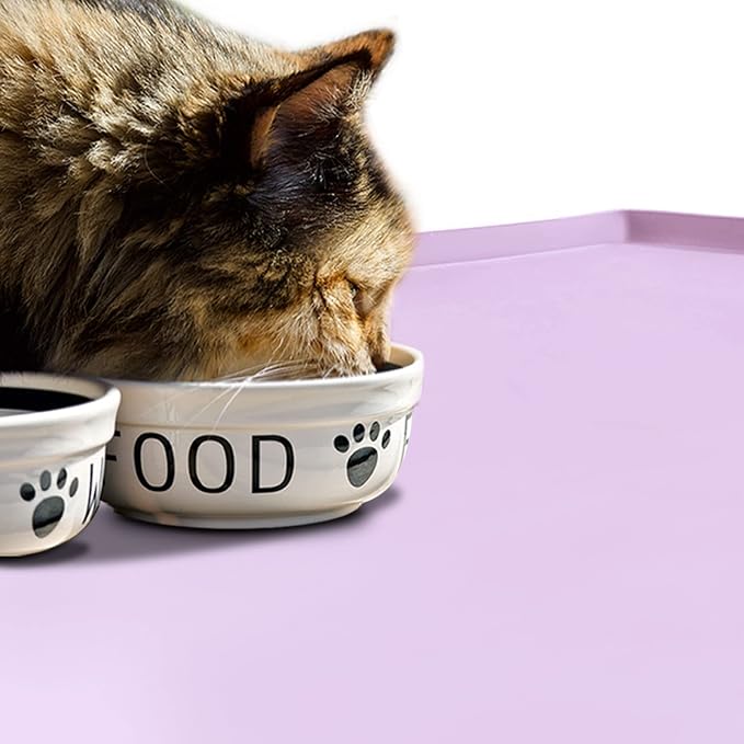 Silicone Dog Food Mat Waterproof Pet Feeding Tray for Large Dogs