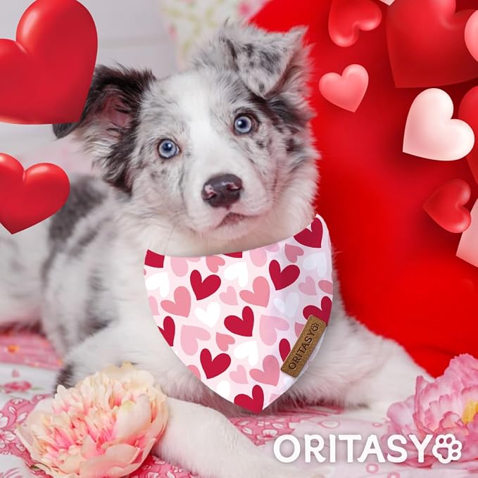Valentines Day Dog Bandanas, 2-Pack Triangle Reversible Valentine Pet Scarves, Premium Fabric, Bandana for All Boys Girls Dogs (L, Style 1)
