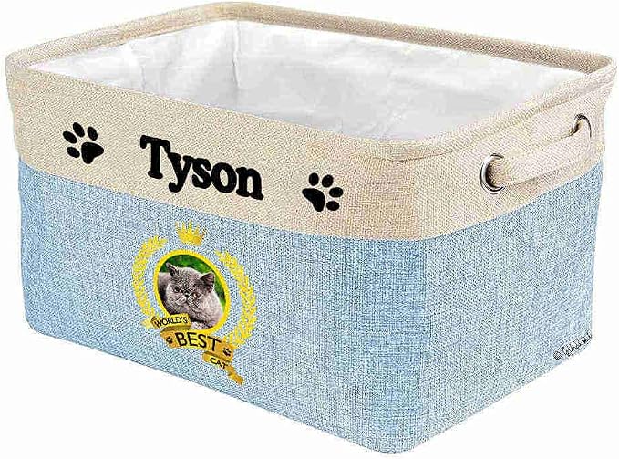 Custom Name Collapsible Dog Toy Storage Basket Bin World's Best Cat Lovely Exoticshorthair Foldable Pet Toy Box Closet Shelf Baskets Organizer for Bedroom Home Dog Cat with Handles Blue