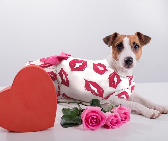 Valentines Day Dog Dress L, Cute White Pet Dress with Red Lip and Pink Bow, Stylish Pet Outfit for 11-13 lbs Dogs and Cats, Romantic Holiday Clothing