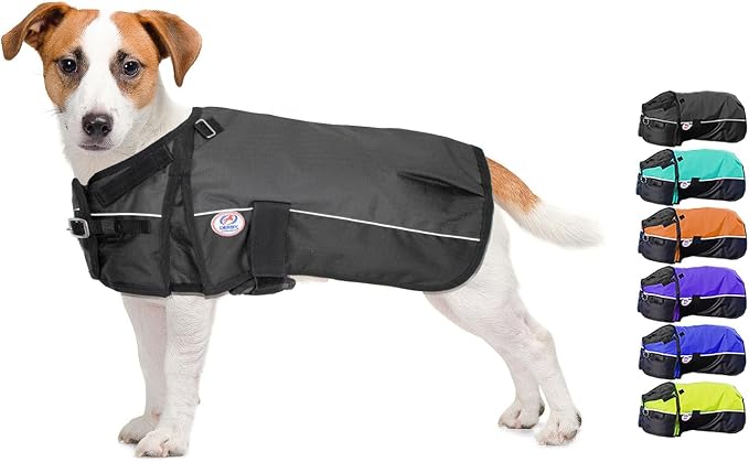 Derby Originals Horse Tough 600D Ripstop Waterproof Reflective Winter Dog Coat 150g Medium Weight, Black, 13.5"