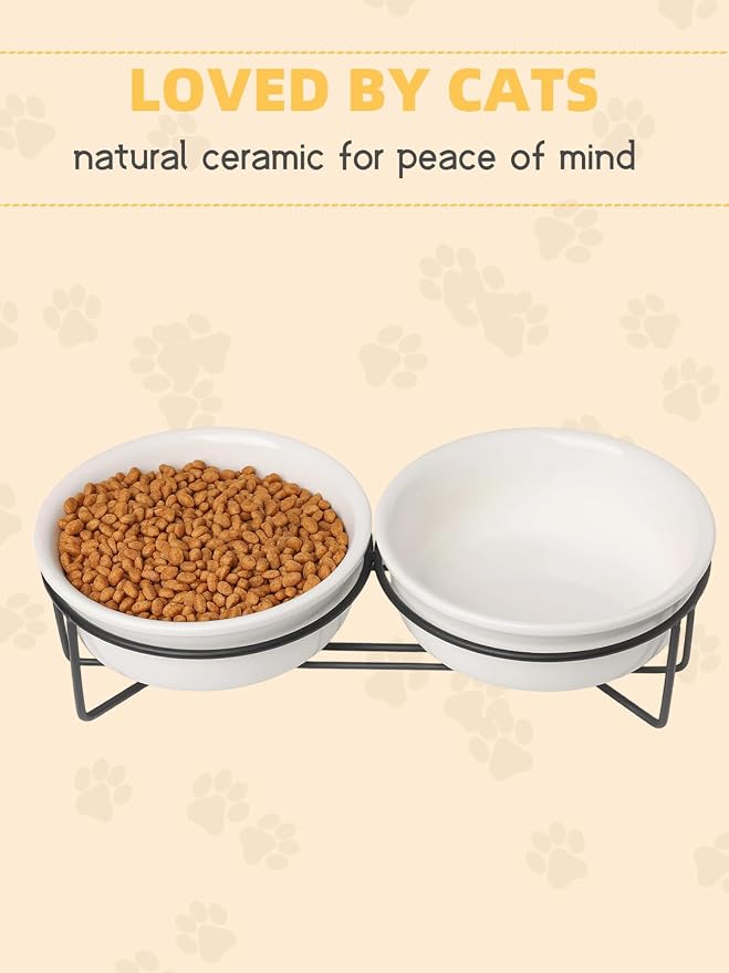 GDCZ Elevated 15 Oz Ceramic Double Cat Bowls with 11.6x2.5 Inch Stand (White)