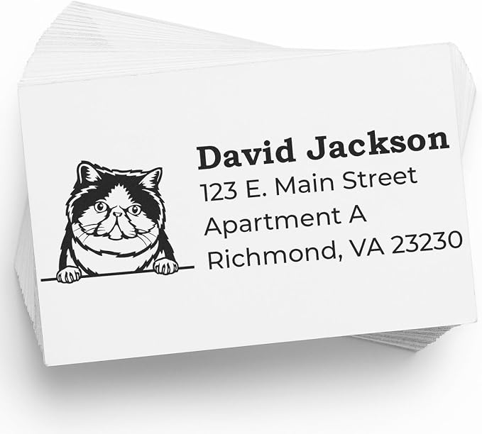 Exotic Shorthair Cat Stamp, Return Address Duo Hand Seal for Crafting, Custom Mail Art, Home Decor