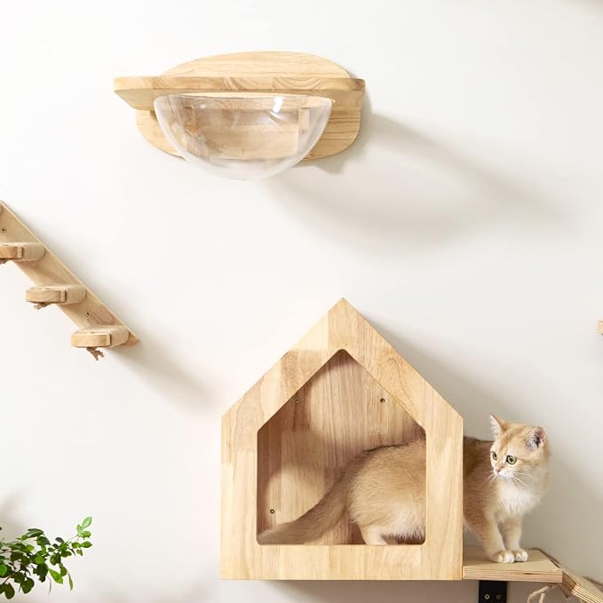 FUKUMARU Cat Wall Furniture Set, Transparent Capsule with 2 PCS Pedals | Kitten Walls Shelves, Premium Kitty Bed, For Sleeping, Playing, Climbing, Lounging, Holds Up to 35 Lbs