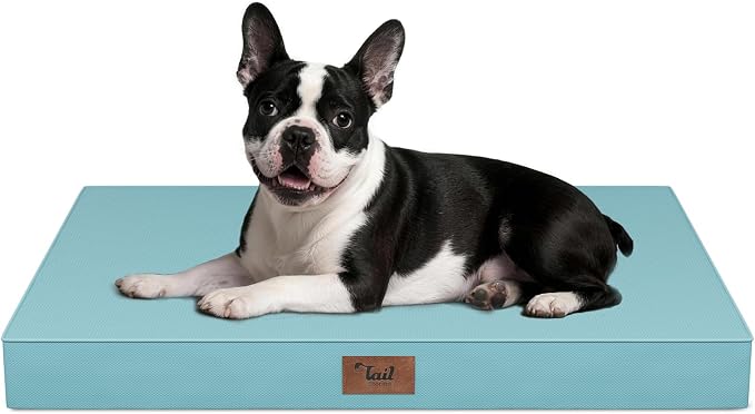 Orthopedic Waterproof Dog Bed for Small Dogs and Cats | Egg Crate Foam for Joint Support, Fits 30x19 Crates, TPU Waterproof Layer, Machine Washable 1680D Oxford Cover, Up to 30 lbs