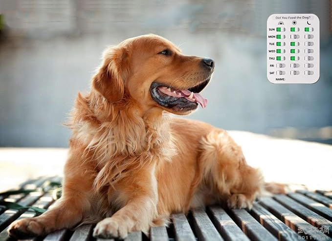 Pet Feeding Reminder for Dogs Cats - Magnetic Sticker 3 Times A Day Indication Chart Feed Your Pets, Magnets and Double Sided Tape, Did You Feed Your Dog Cat Fish Kid?