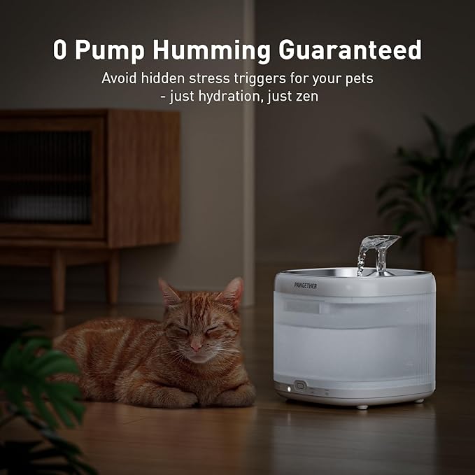 PAWGETHER® Cat Water Fountain with 4 Filters, Ultra Quiet Pumpless Pet Water Fountain with Stainless Steel Tray, 67oz/2L Water Fountains for Cats Indoor with 360° Motion Sensor for Cats & Dogs