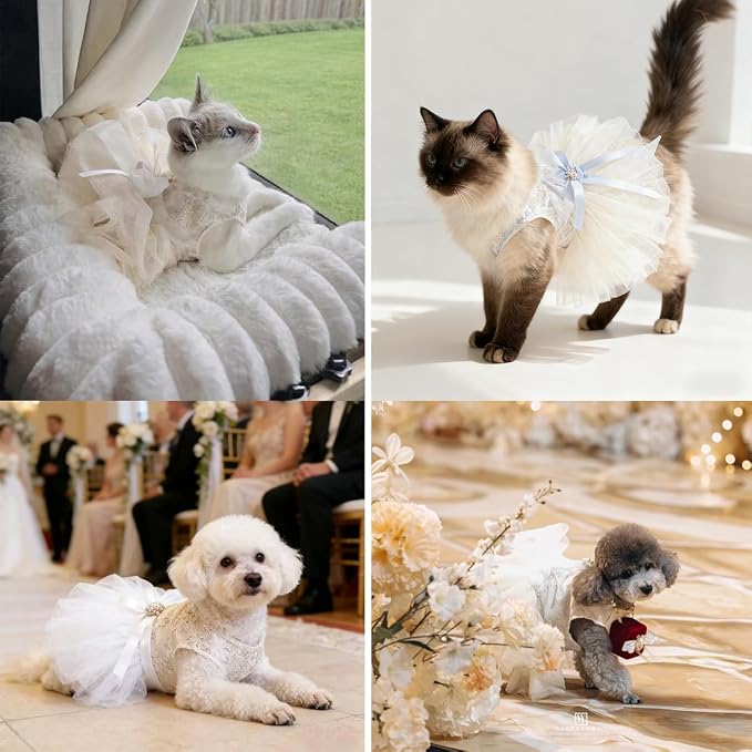 Princess Dog Wedding Dress - Embroidered Gown with Fluffy Tutu Skirt & Leash D-Ring, Formal Party Outfit for Small Dogs & Cats Like Chihuahua Yorkie (White Bow-Princess, Small)