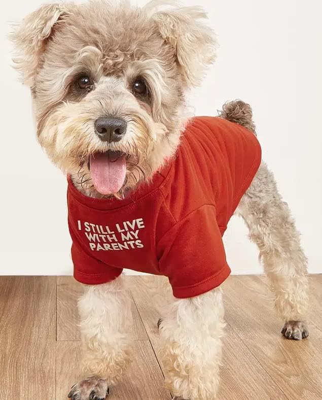 Cute Dog Clothes, T Shirt for Medium and Small Dogs Girl Boy,Puppy.Breathable Soft Dog Costume for Pet Dogs Cats, Pet Pullover Jumper, Cat Clothes XXL-(19~23lb),Chest~21.5",Red,Parents