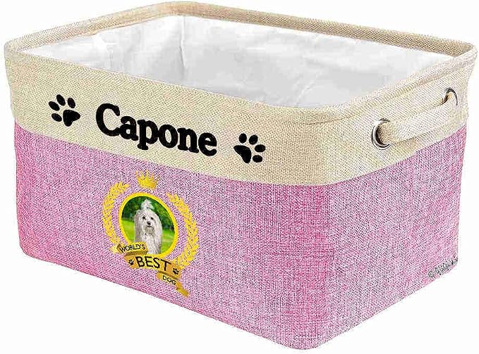 Custom Name Collapsible Dog Toy Storage Basket Bin World's Best Dog Havanese Foldable Pet Toy Box Closet Shelf Baskets Organizer for Bedroom Home Dog Cat with Handles Pink