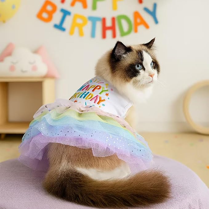 Dog Birthday Outfit Girl Puppy Princess Tutu Dress for Small Dogs Pet Birthday Cake Dresses Cat Birdhay Decoration Haliday Pet Apparel (Coloful, Large)