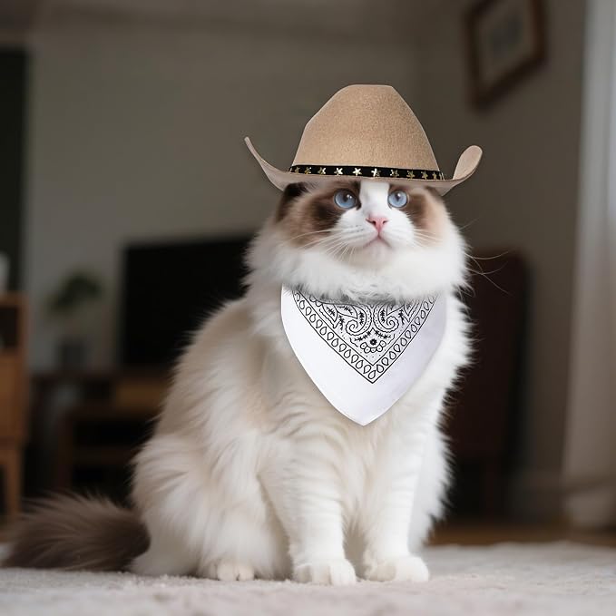 choyaxo Halloween Costumes for Dogs Cat Pet Cowboy Costume Cowboy Hat with Bandana Set for Halloween, Christmas, Holiday, Party, Cosplay (Khaki, Medium)