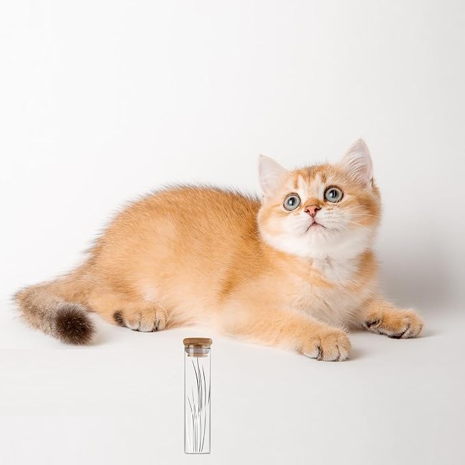 4 PCS Cat Whisker Jars with Bamboo Cover, 1.8'' In Diameter, 4.7'' High Transparent Pet Hair Glass Memorial Bottle, Memorial Gifts for Cat Lover, 60 ml