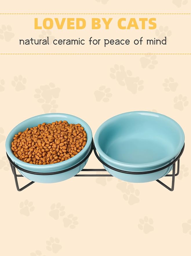 GDCZ Elevated Cat Bowl Stand, 11.6 in Metal Stand with 2 Removable 15 OZ Ceramic Bowls for Pet Food and Water, Stand Reduces Cat Neck Burden, Turquoise