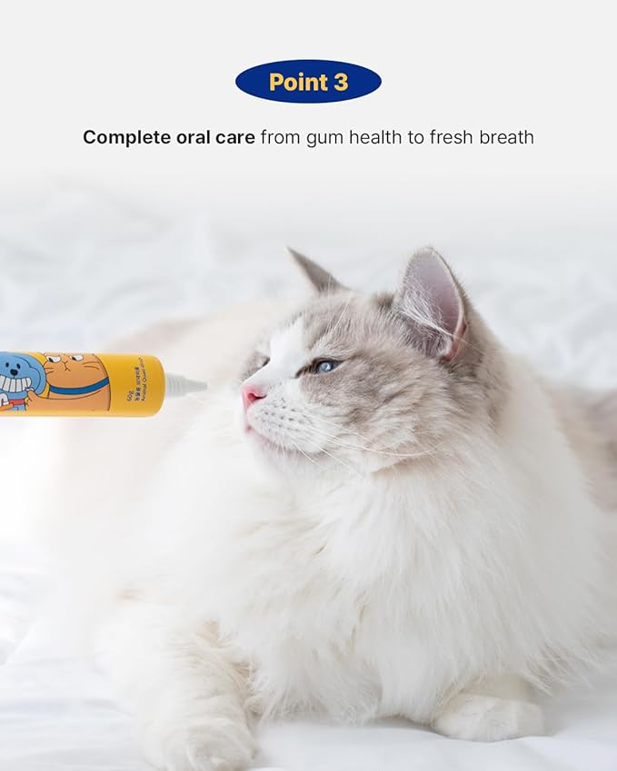 PETHROOM Pet Dental Solution Toothpaste for Dogs & Cats – Melon Flavor, Enzymatic Toothpaste for Fresh Breath & Plaque Control, Gentle Daily Dental Care, Net Wt 2.1 oz