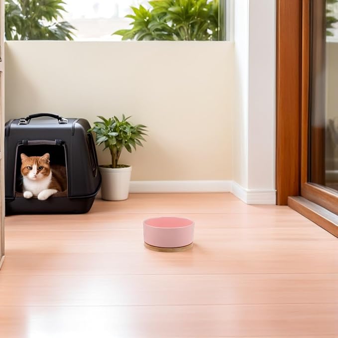 USB Powered Heated Pet Bowl for Cats and Dogs Anti-Freeze Electric Warming Ceramic Feeder with Cord Small Pink Thermal Water Dish for Outdoor Winter Use