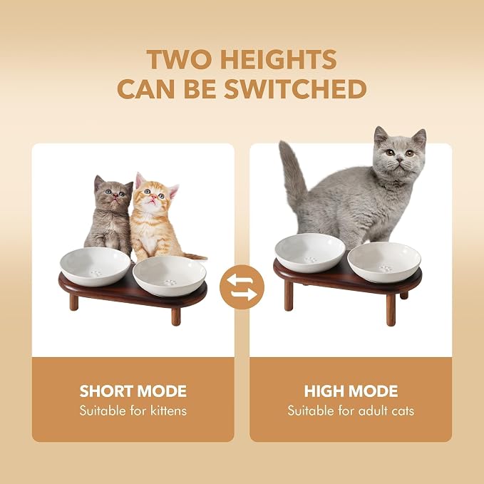 Havniva Elevated Cat Bowls, Ceramic Cat Bowl with Wood Stand, Wide Opening | 5.7” Raised Cat Food Bowls, Whisker Friendly Cat Dish, Anti-Slip Cat Water Bowls, Shallow Cat Bowls, Cat Food & Water Bowl