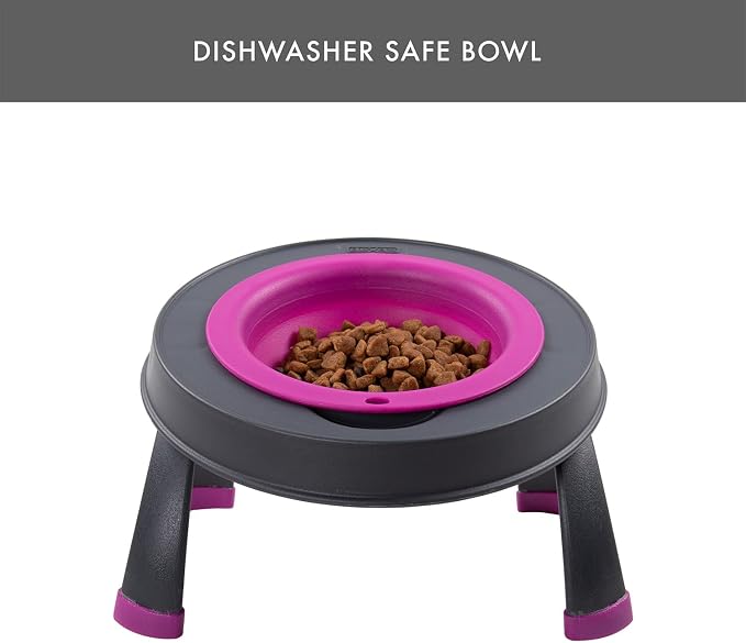 Dexas Pets Single Elevated Pet Feeder/Pet Bowl, 4 Cup Capacity, Fuchsia, Large/4 Cup Capacity