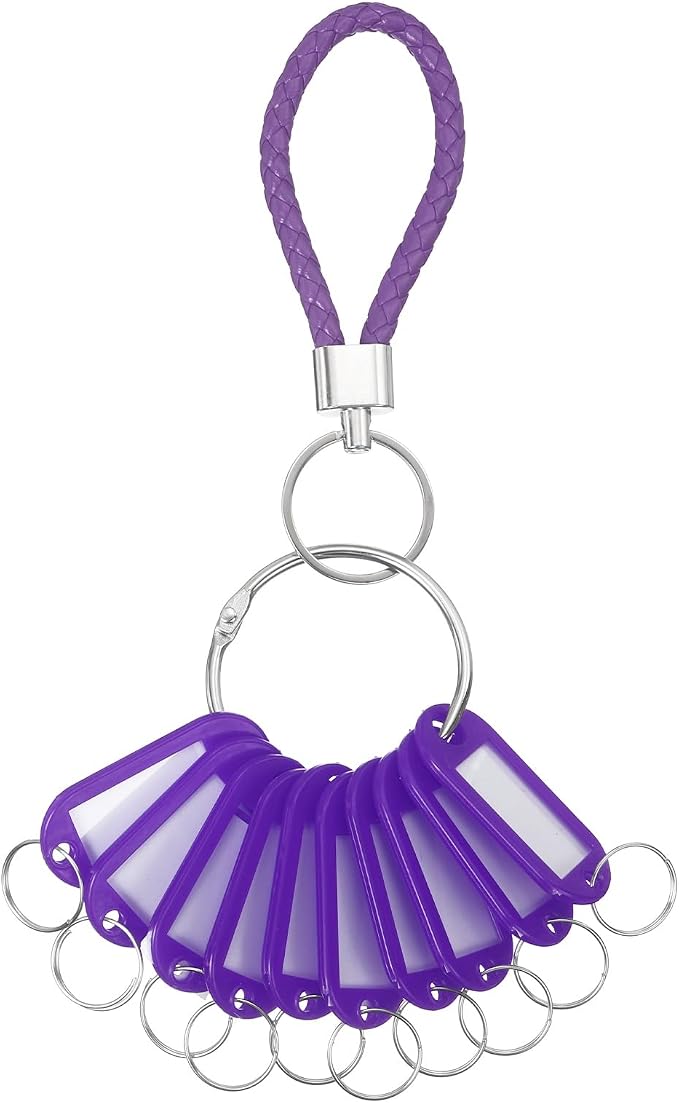 PATIKIL Key Tags with Labels, Key Organizer Keychain Markers Tags Holder with Bold Steel Ring and Braided Strap for Office