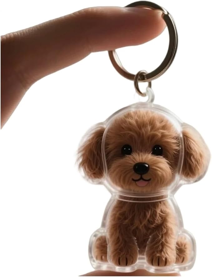 Dog Hair Collector Keychain Charm Memorial Storage Box, Transparent Bottle for Pet Hairs Keychain, Pets Fur Keepsake Keyring for Collecting Hair, Portable Pet Memory Capsule(10)