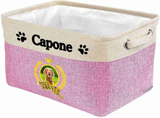 Custom Name Collapsible Dog Toy Storage Basket Bin World's Best Dog Vizsla Foldable Pet Toy Box Closet Shelf Baskets Organizer for Bedroom Home Dog Cat with Handles Pink