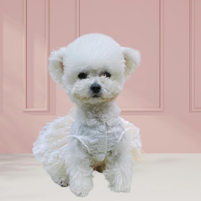 FLAdorepet Luxury Rose Lace Dog Dress with Leash Ring,Pet Bride Costume Clothes for Small Dogs Girls,Formal Dog Wedding Party Dresses Apparel (White, X-Small(Chest 11"|Weight 2-3Lbs))