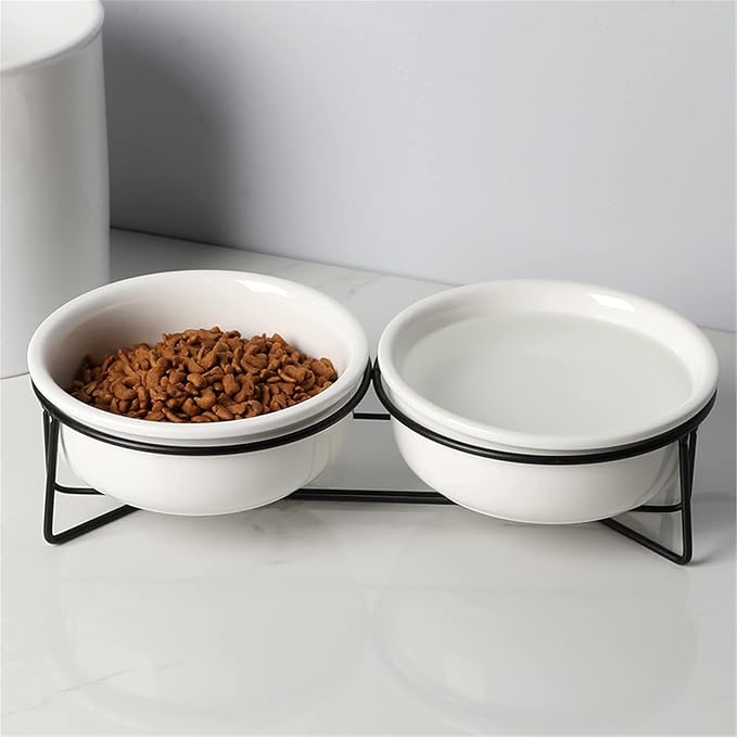 GDCZ Elevated 15 Oz Ceramic Double Cat Bowls with 11.6x2.5 Inch Stand (White)