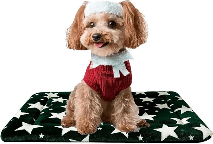 Dog Bed Mat, Reversible Dog Crate Pad with Washable Kennel Mat and Soft Foam, Pet Bed for Dogs & Cats, for Crates Carriers & Travel (Big&Small Stars Green, 24" L*18" W*1.5" Th)