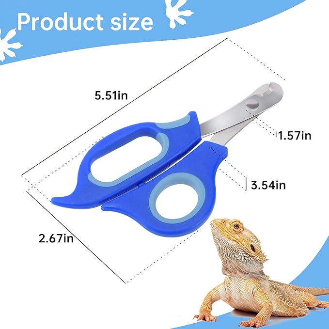 KEUYE Bearded Dragon Nail Clippers,Stainless Steel Bearded Dragon Toe Nail Clippers with Precise Angled Edges (Blue)
