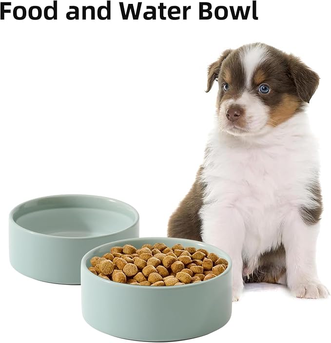Havniva Cat Bowls Set of Two, 6.1” Ceramic Cat Food Bowls, Cat Water Bowl | Cat Food and Water Bowl Set, Non-Slip Base, Food-Grade Ceramic, Wide Opening, Dishwasher Safe, Pet Bowls Whisker Friendly